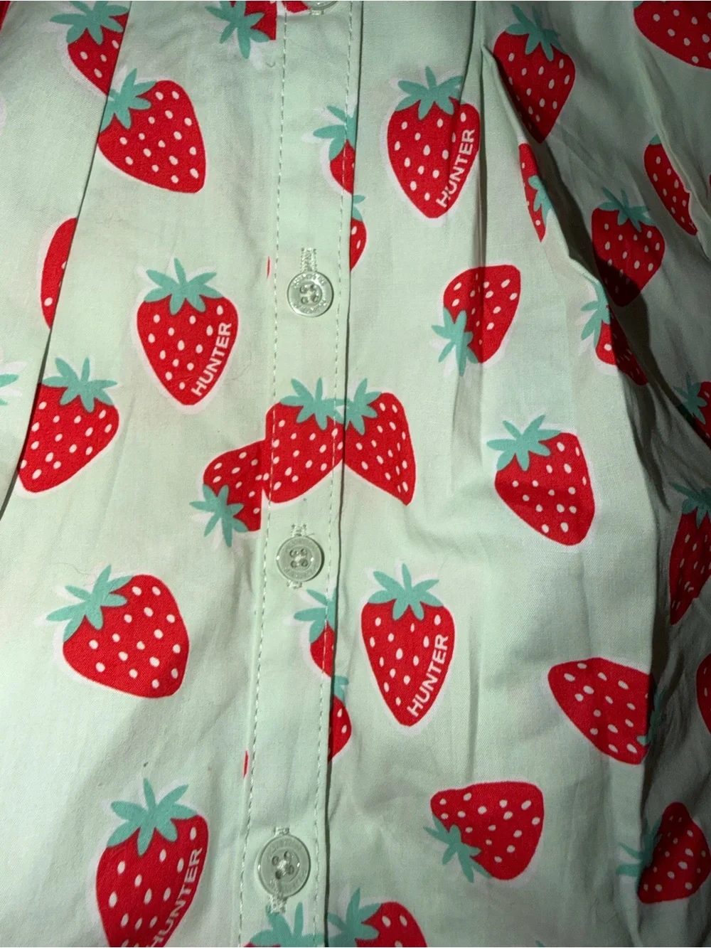 Girls Strawberry Hunter Button-Front Dress - Mint & Red 4t NWT